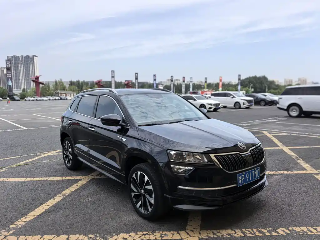 Skoda Karoq — фото 3