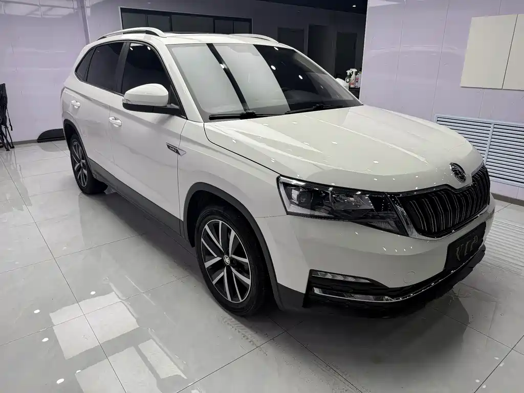 Skoda Kamiq — фото 6