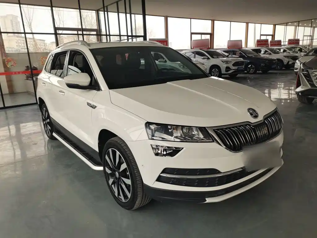 Skoda Karoq — фото 4