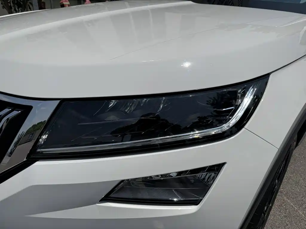 Skoda Kodiaq — фото 23