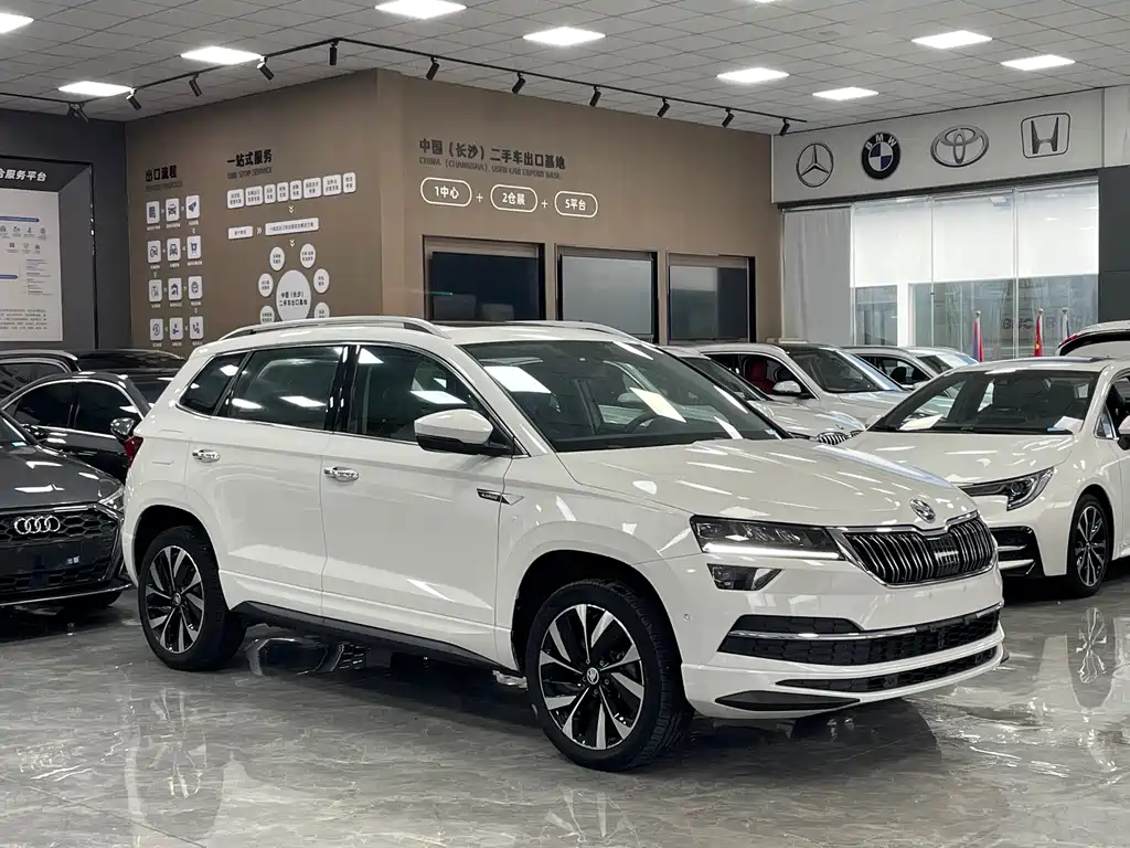 Skoda Karoq — фото 3