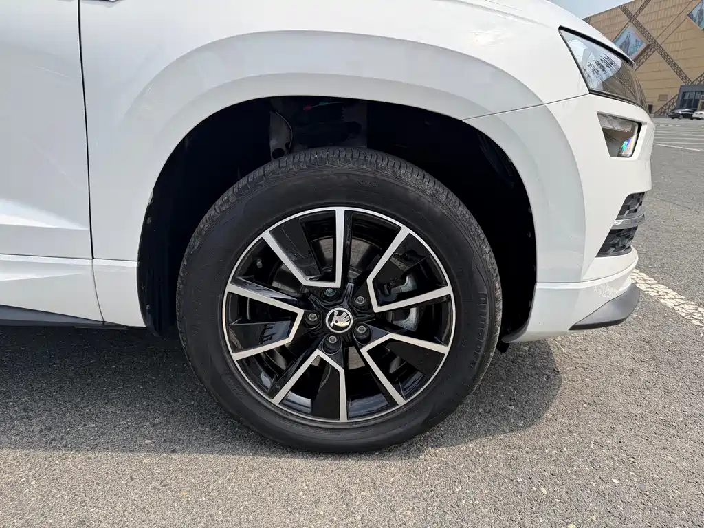 Skoda Karoq — фото 15