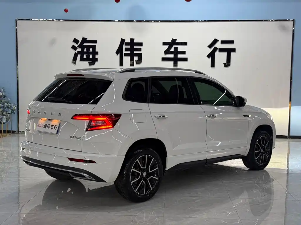 Skoda Karoq — фото 8