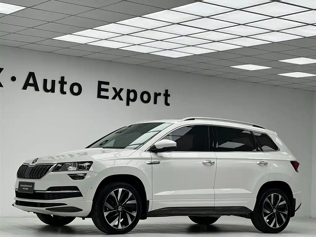 Skoda Karoq — фото 23