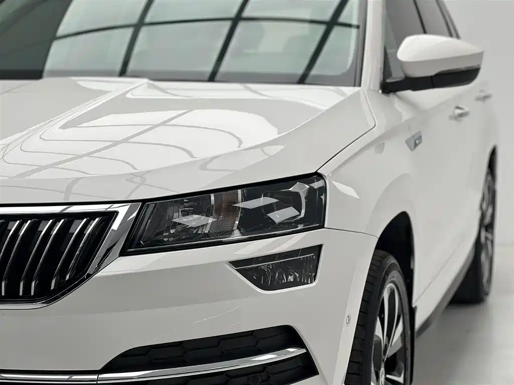Skoda Karoq — фото 4
