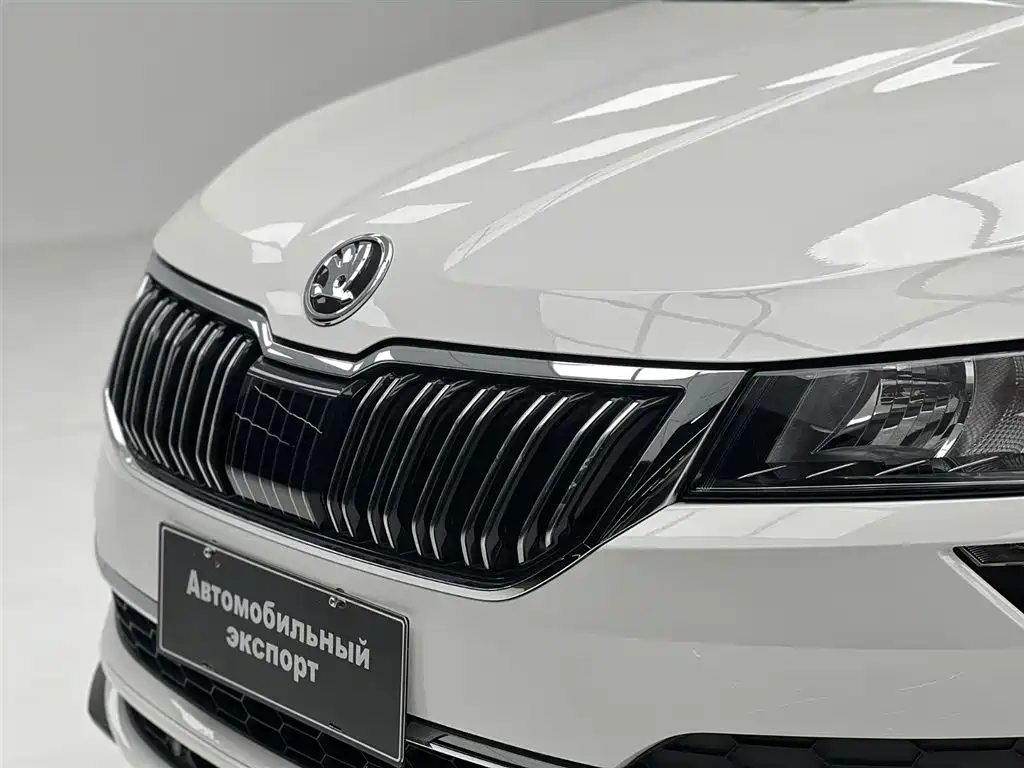 Skoda Karoq — фото 5