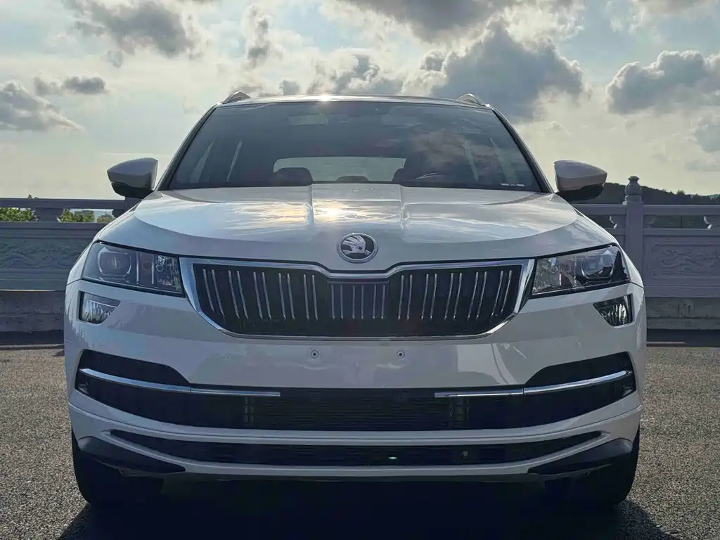 Skoda Karoq — фото 2