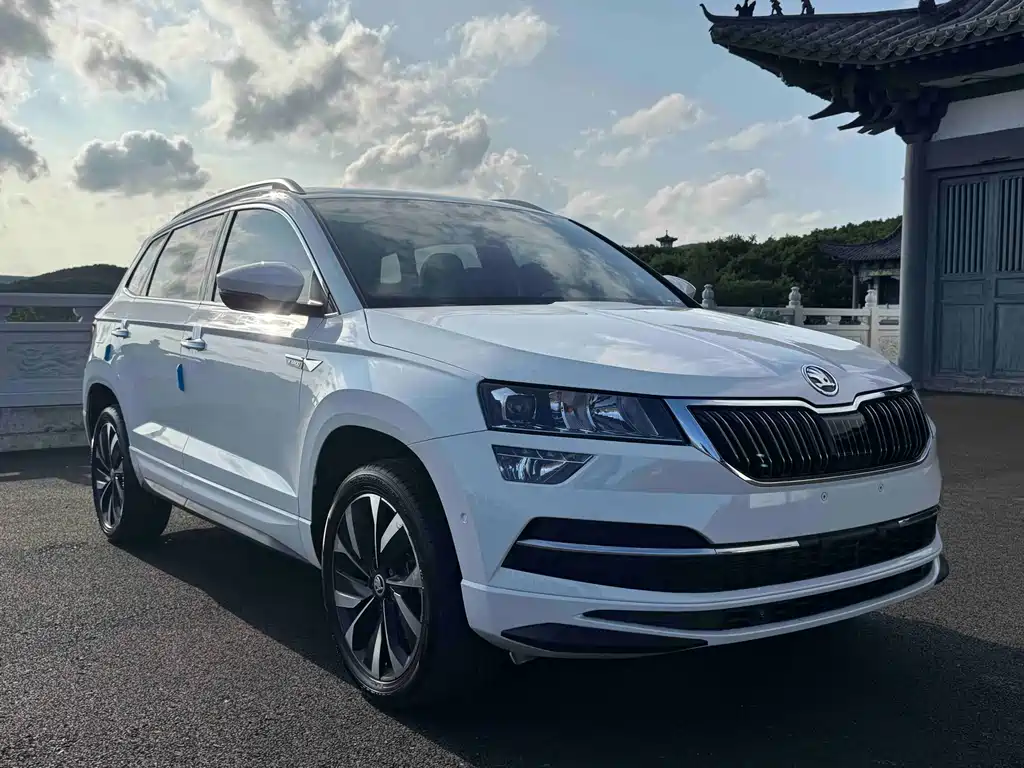 Skoda Karoq — фото 3