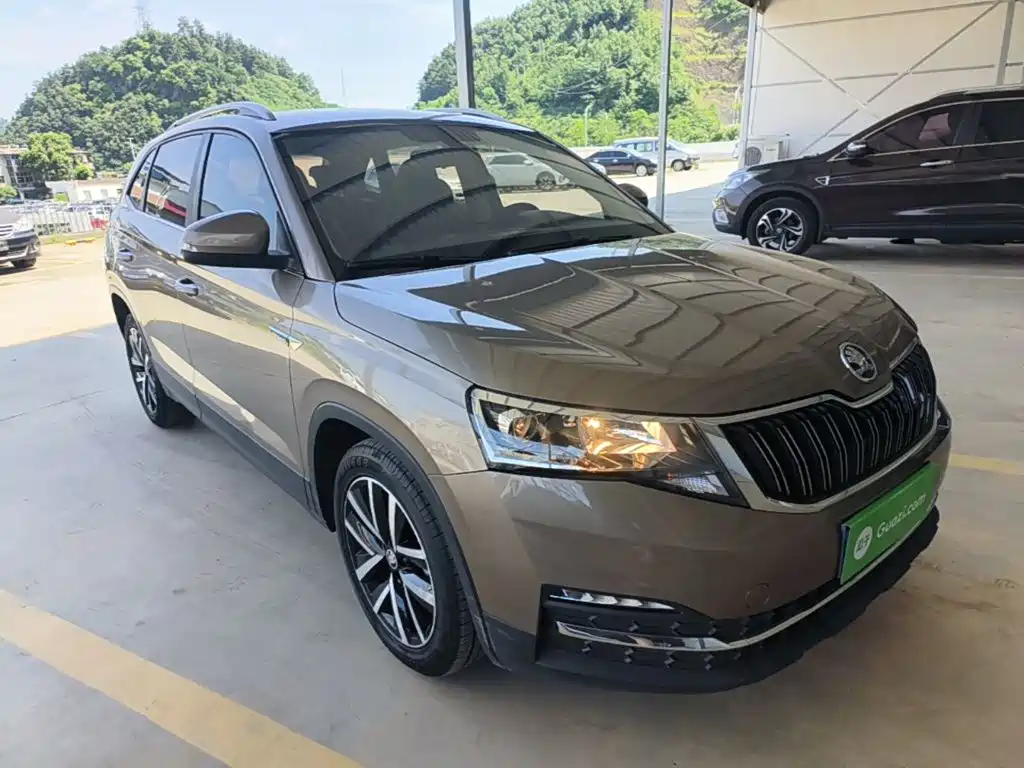 Skoda Kamiq — фото 4