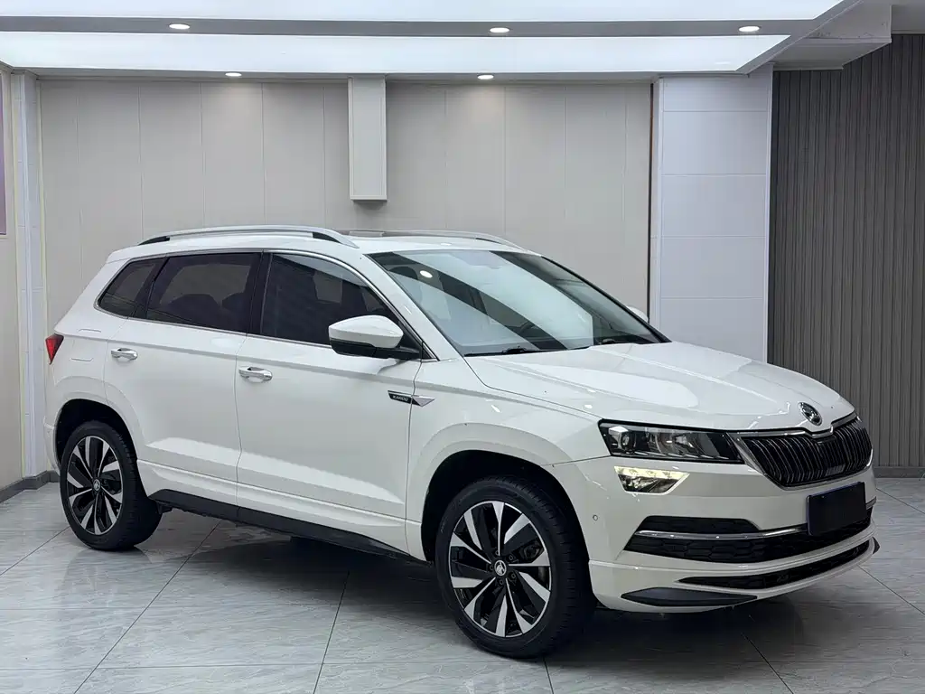 Skoda Karoq — фото 3
