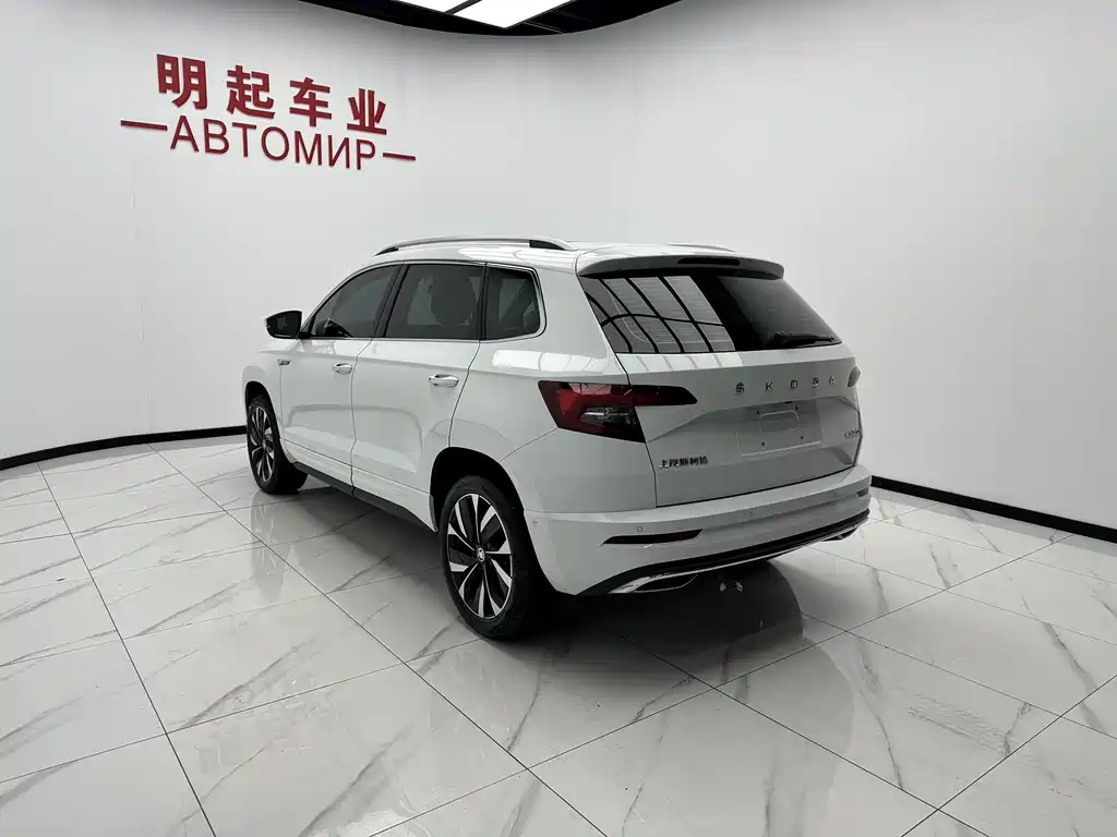 Skoda Karoq — фото 8