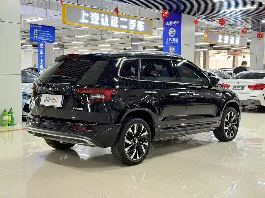 Skoda Karoq — фото 10