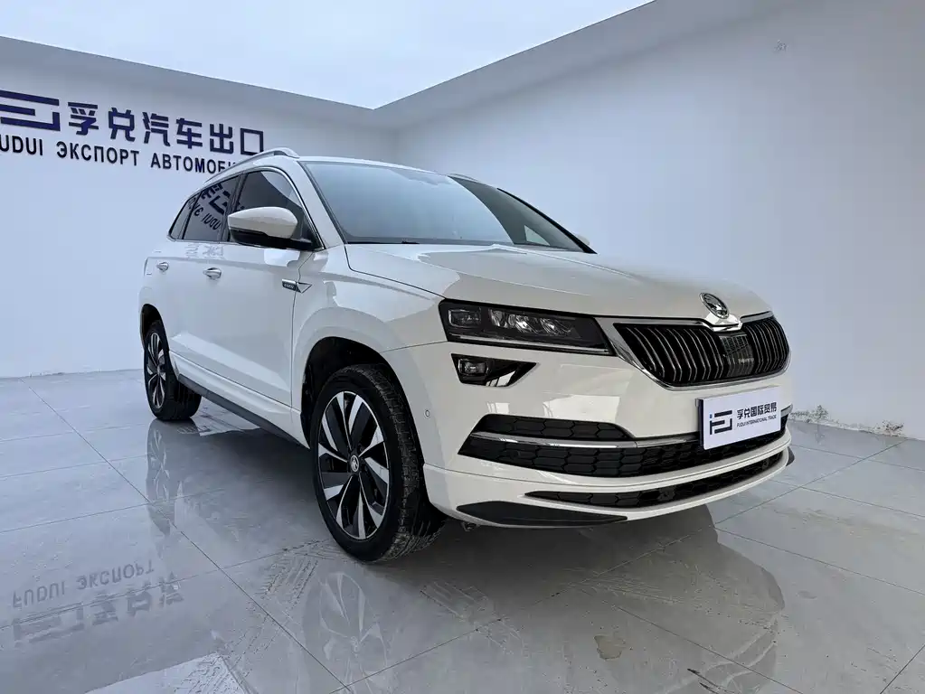 Skoda Karoq — фото 3