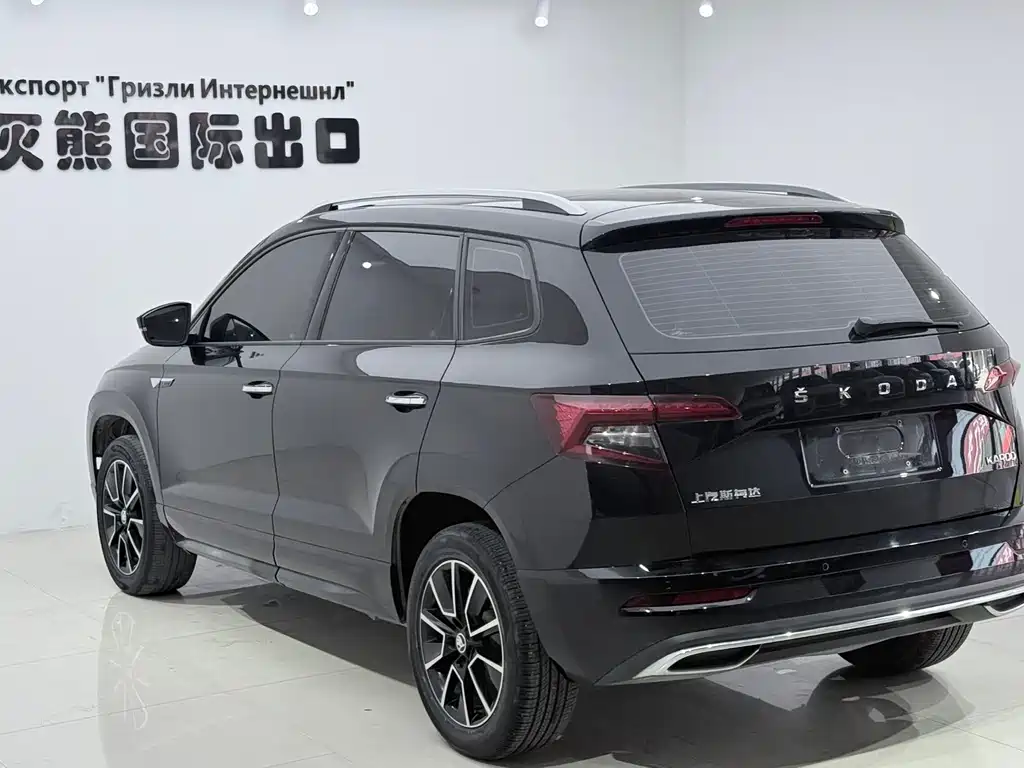 Skoda Karoq — фото 6