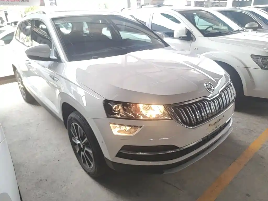 Skoda Karoq — фото 4