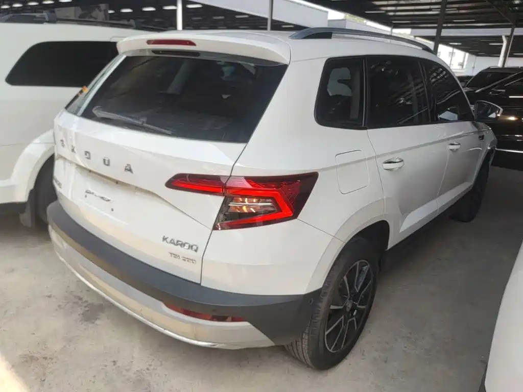 Skoda Karoq — фото 7