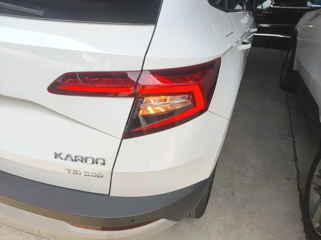 Skoda Karoq — фото 8