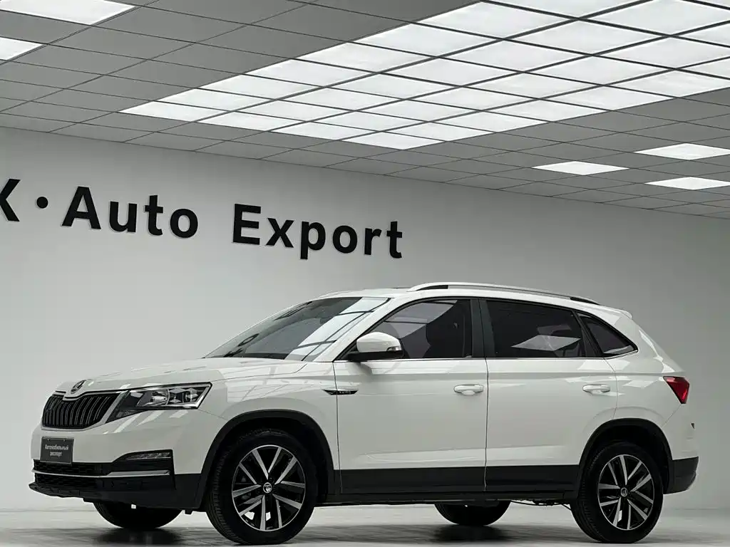 Skoda Kamiq — фото 11