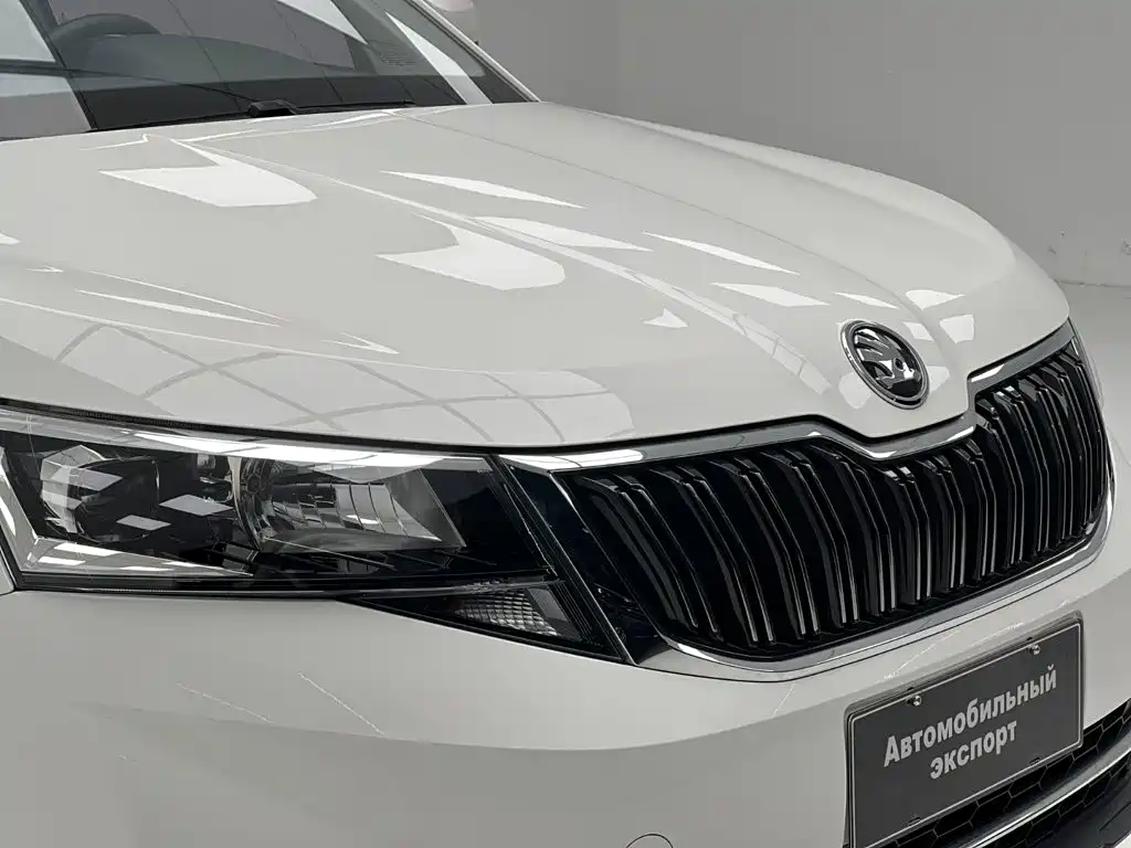 Skoda Kamiq — фото 5