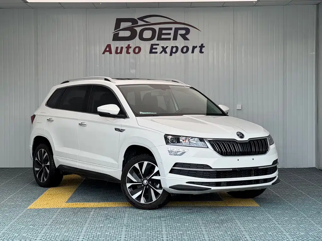 Skoda Karoq — фото 6