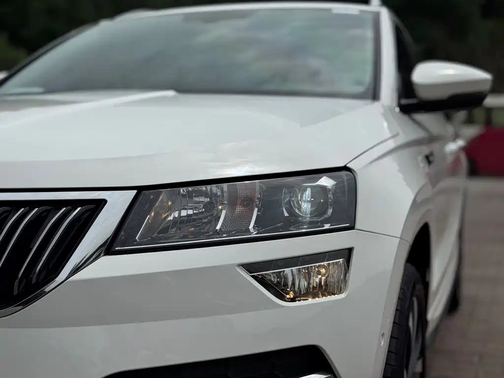 Skoda Karoq — фото 8