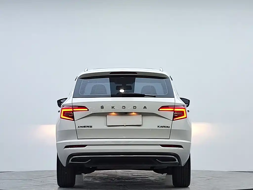 Skoda Karoq — фото 6