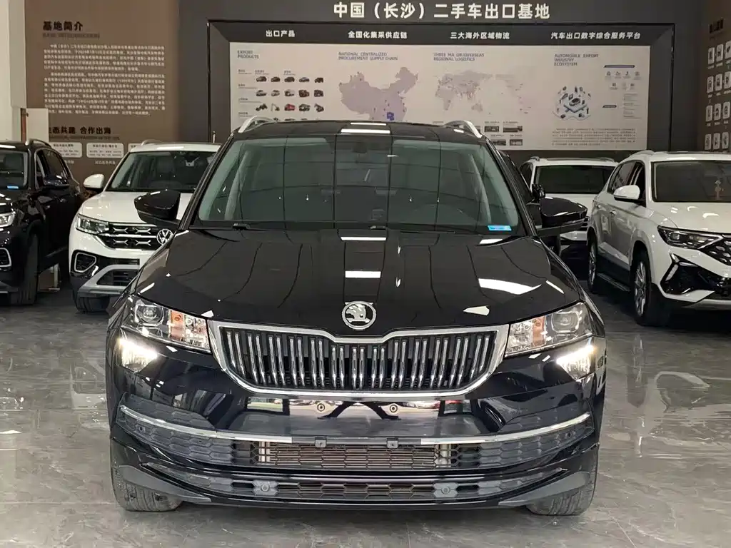 Skoda Karoq — фото 8