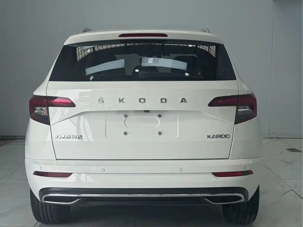 Skoda Karoq — фото 5