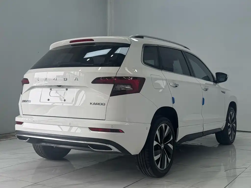 Skoda Karoq — фото 6