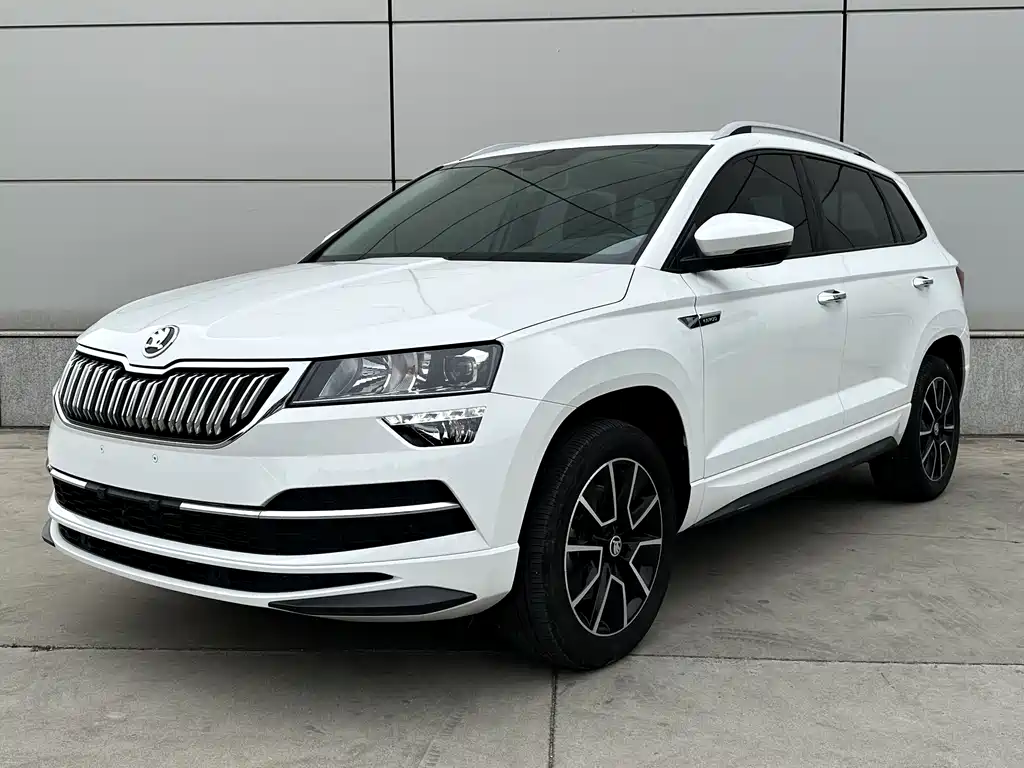 Skoda Karoq — фото 2