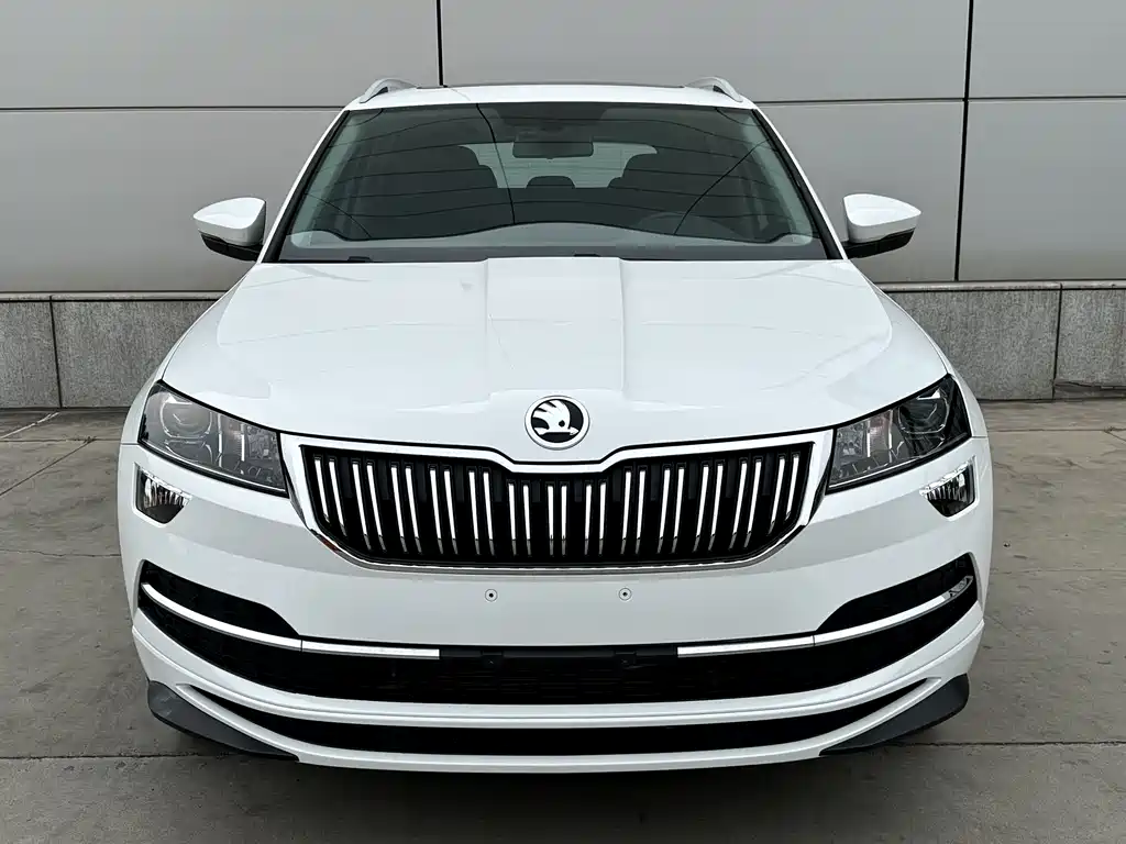 Skoda Karoq — фото 3