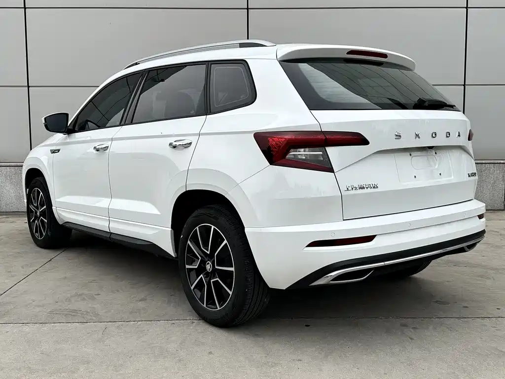 Skoda Karoq — фото 6