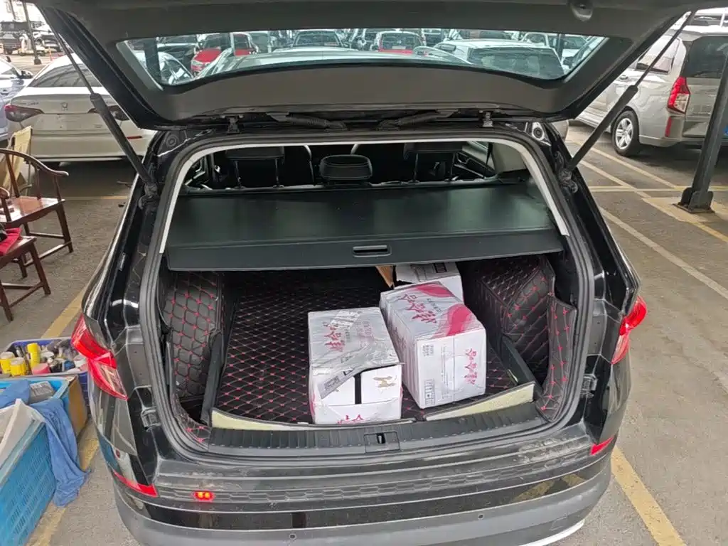 Skoda Kodiaq — фото 19