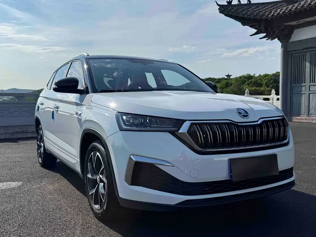 Skoda Kamiq — фото 3