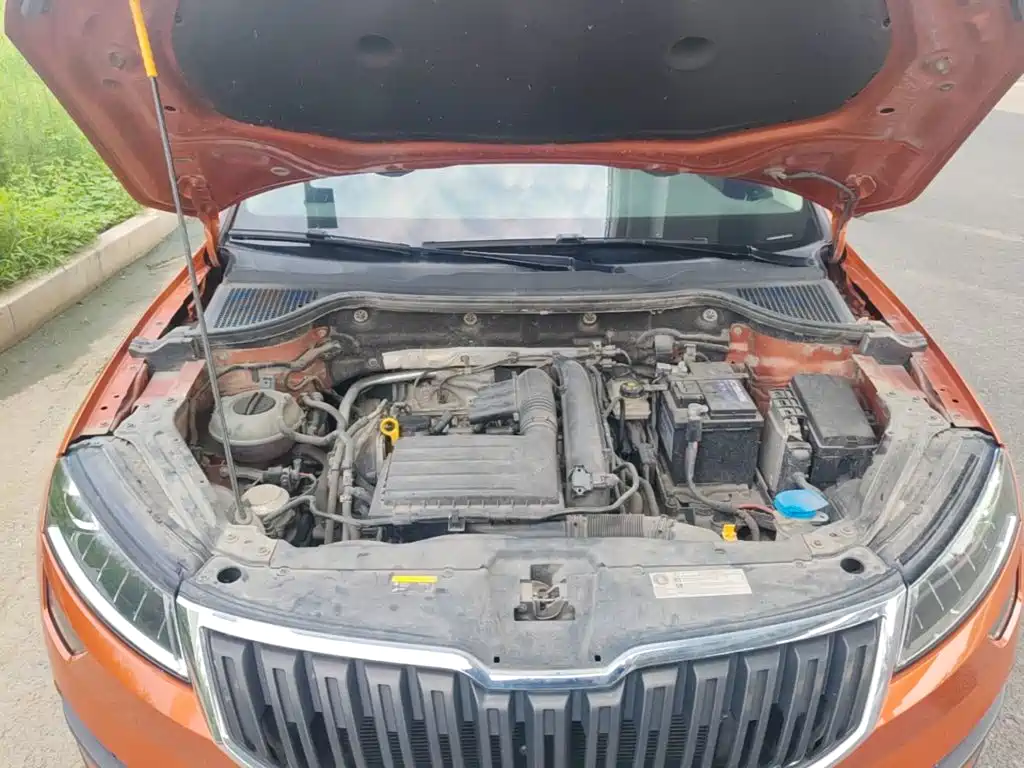 Skoda Karoq — фото 20