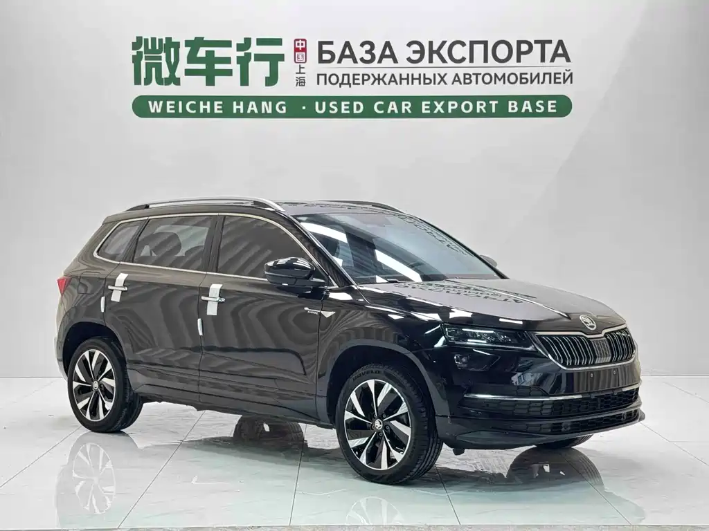 Skoda Karoq — фото 4