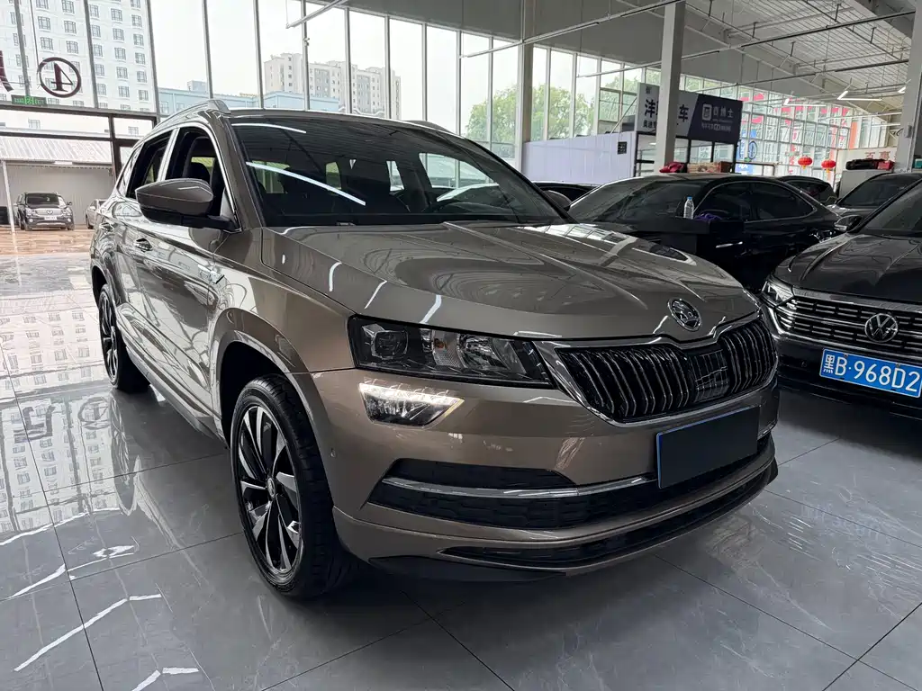 Skoda Karoq — фото 3