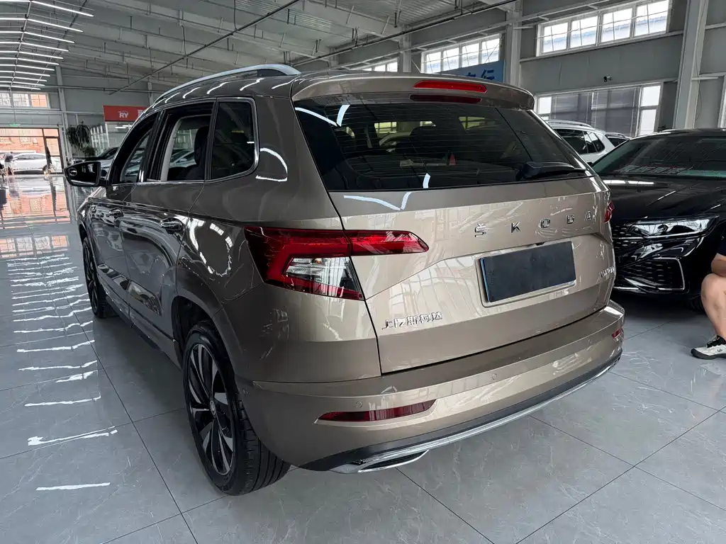 Skoda Karoq — фото 6
