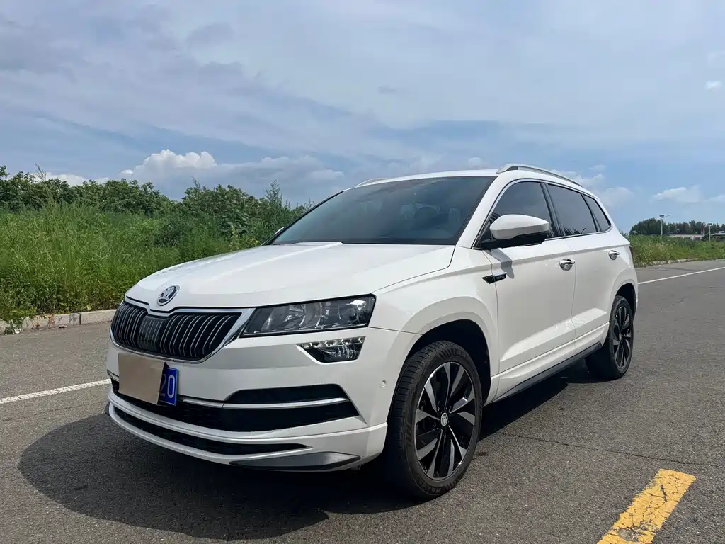 Skoda Karoq — фото 2