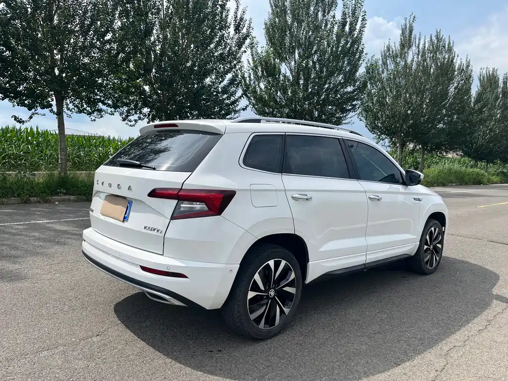 Skoda Karoq — фото 6