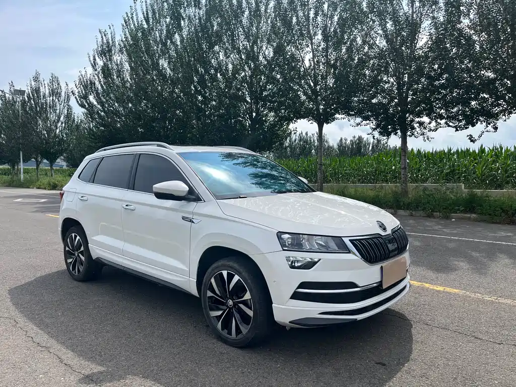 Skoda Karoq — фото 8