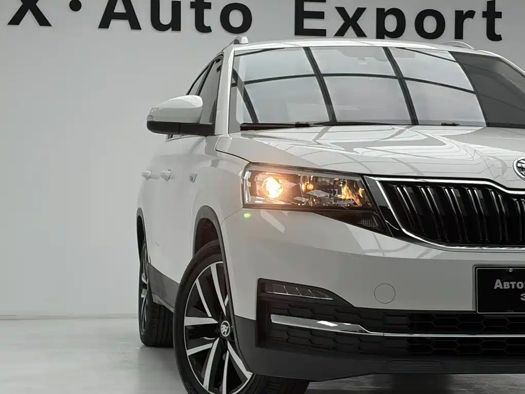 Skoda Kamiq — фото 10