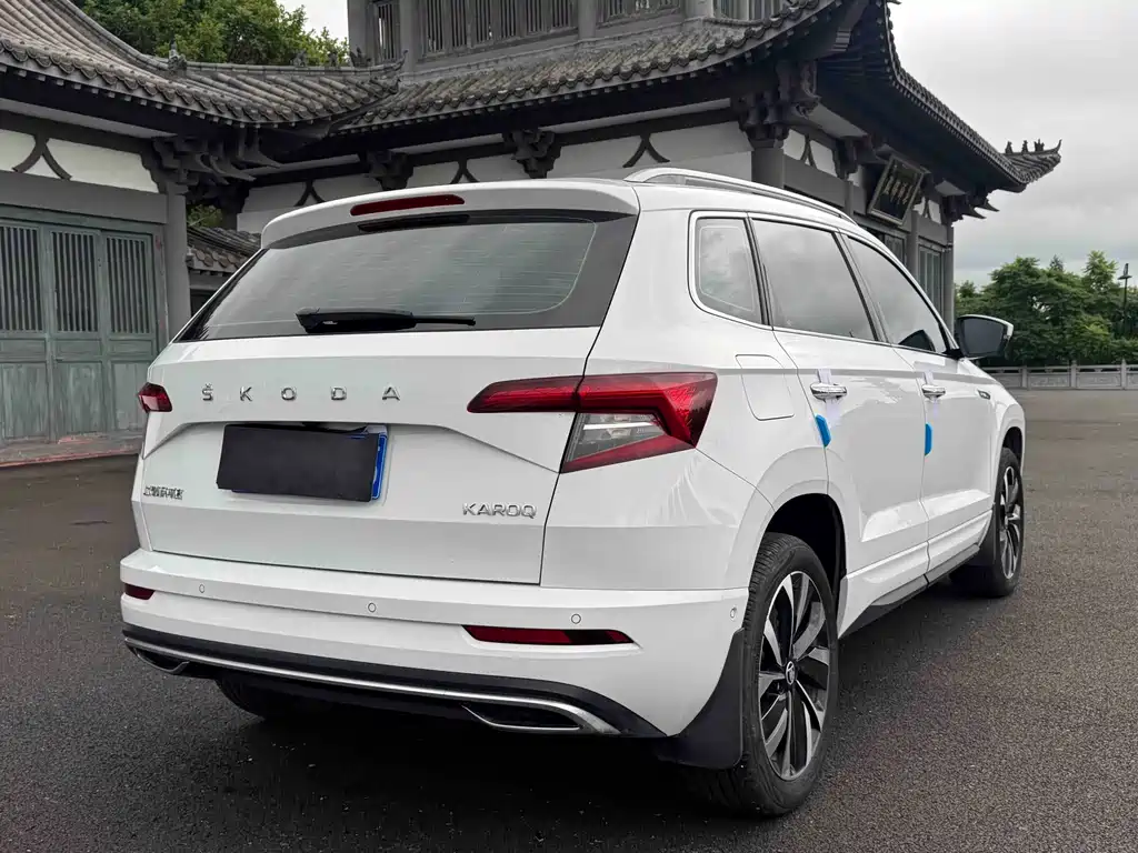 Skoda Karoq — фото 6