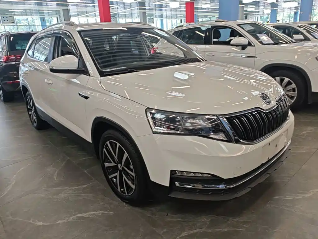 Skoda Kamiq — фото 4