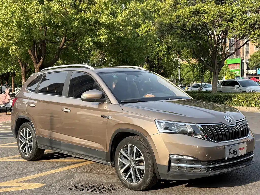 Skoda Kamiq — фото 3