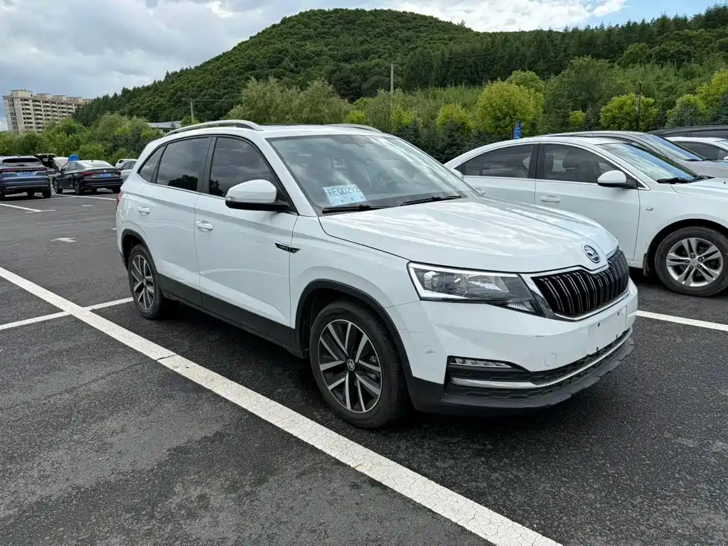 Skoda Kamiq — фото 4