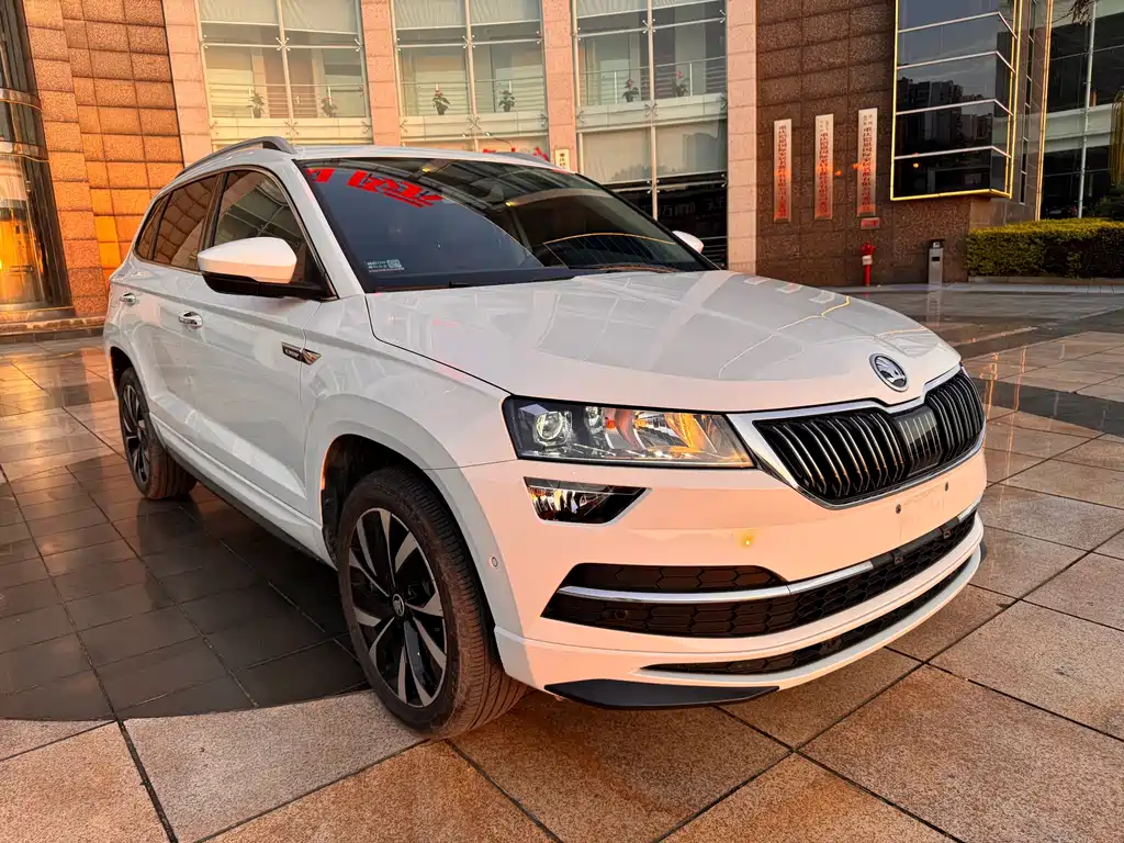 Skoda Karoq — фото 3