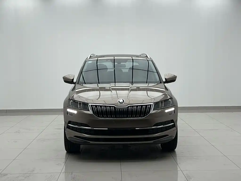 Skoda Karoq — фото 2