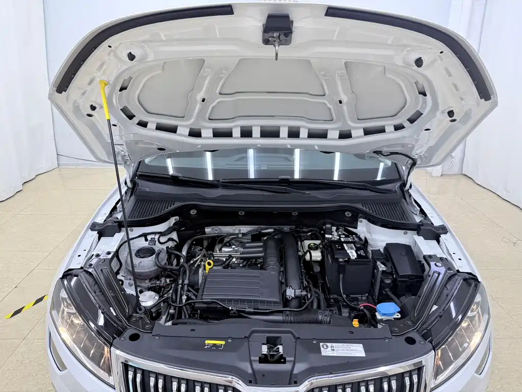 Skoda Karoq — фото 19