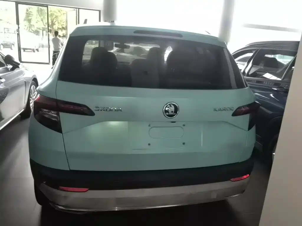 Skoda Karoq — фото 6